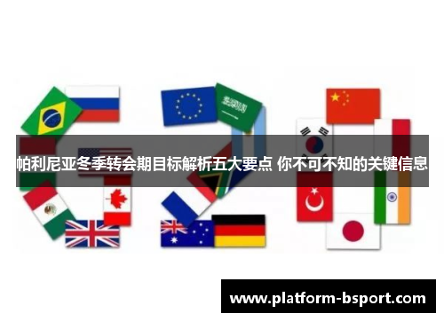 帕利尼亚冬季转会期目标解析五大要点 你不可不知的关键信息